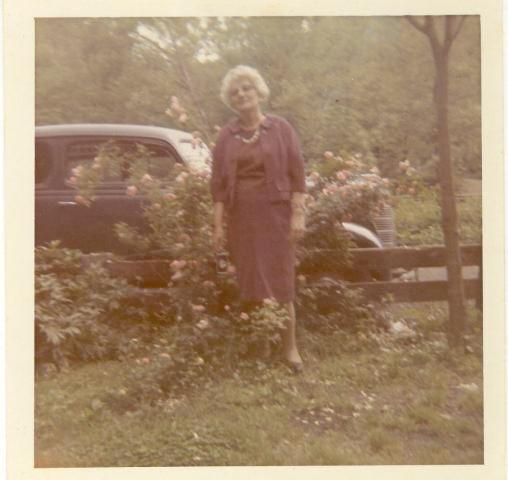 scan321.jpg