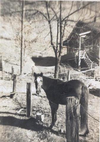 scan8255.jpg