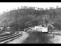 Cardinal_beech_hill.jpg