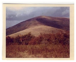 scan000106.jpg