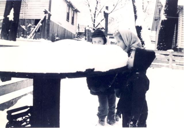 scan46.jpg