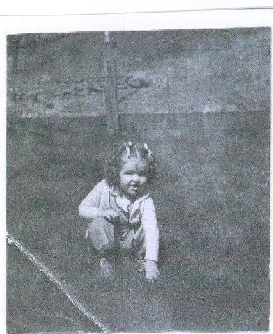 scan55.jpg