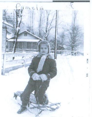 scan60.jpg