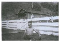 scan21.jpg