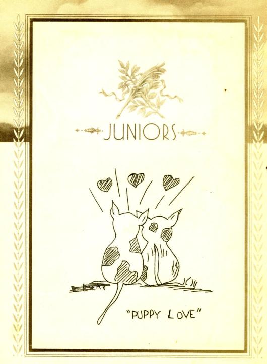 scan473.5.jpg