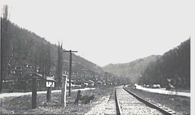 Black Star Mining Camp final.jpg