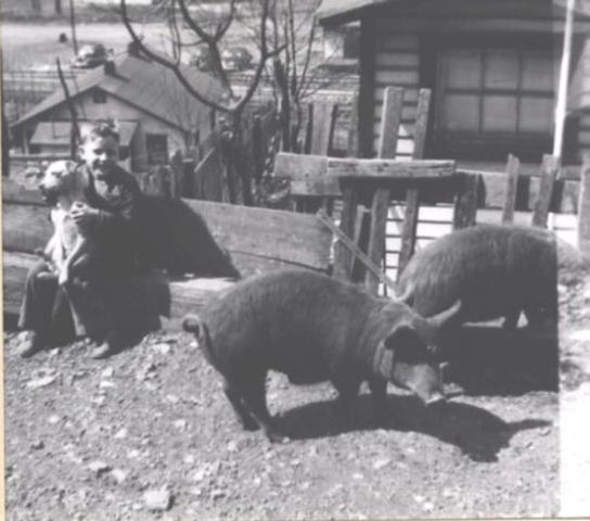 bobby and the pigs.jpg