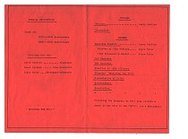 scan294.jpg