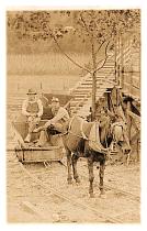 horseandwagon.jpg