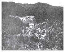 dixiestartippleblackstartippleno.4binconveyor.jpg