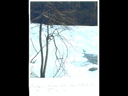 scan20.jpeg